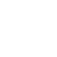 PVH Logo