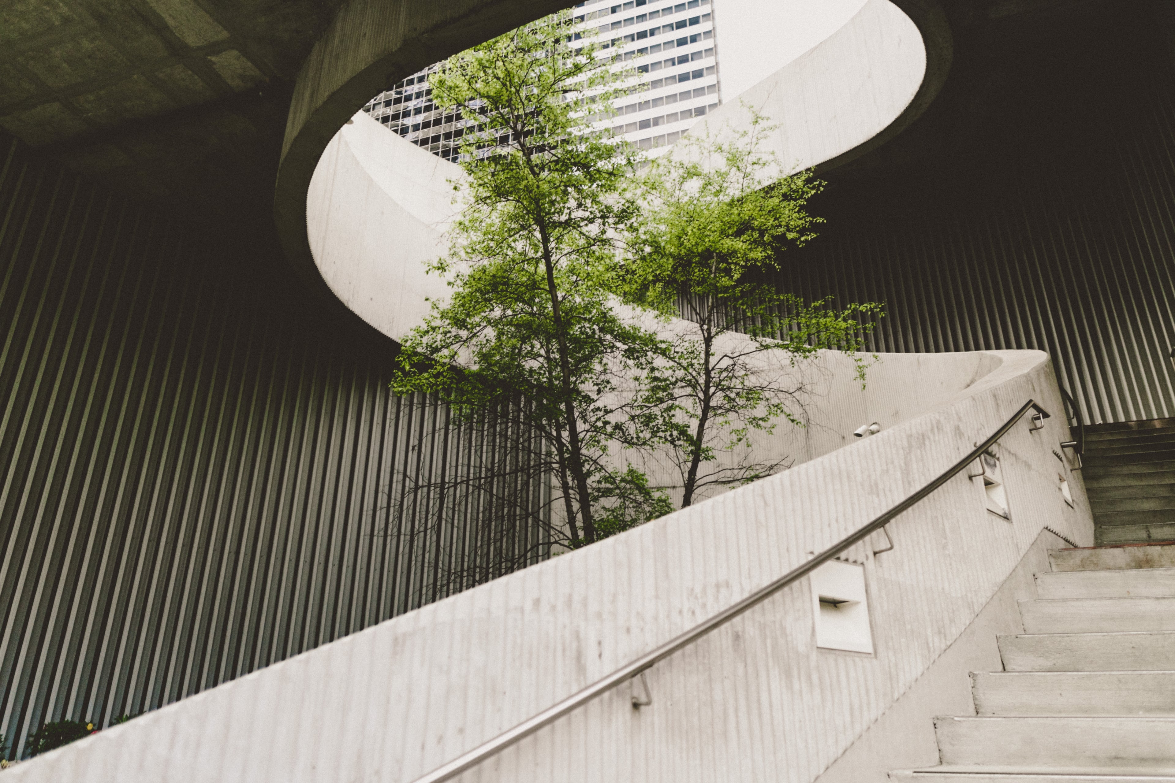 Modern Architecture with a tree growing in the middle
