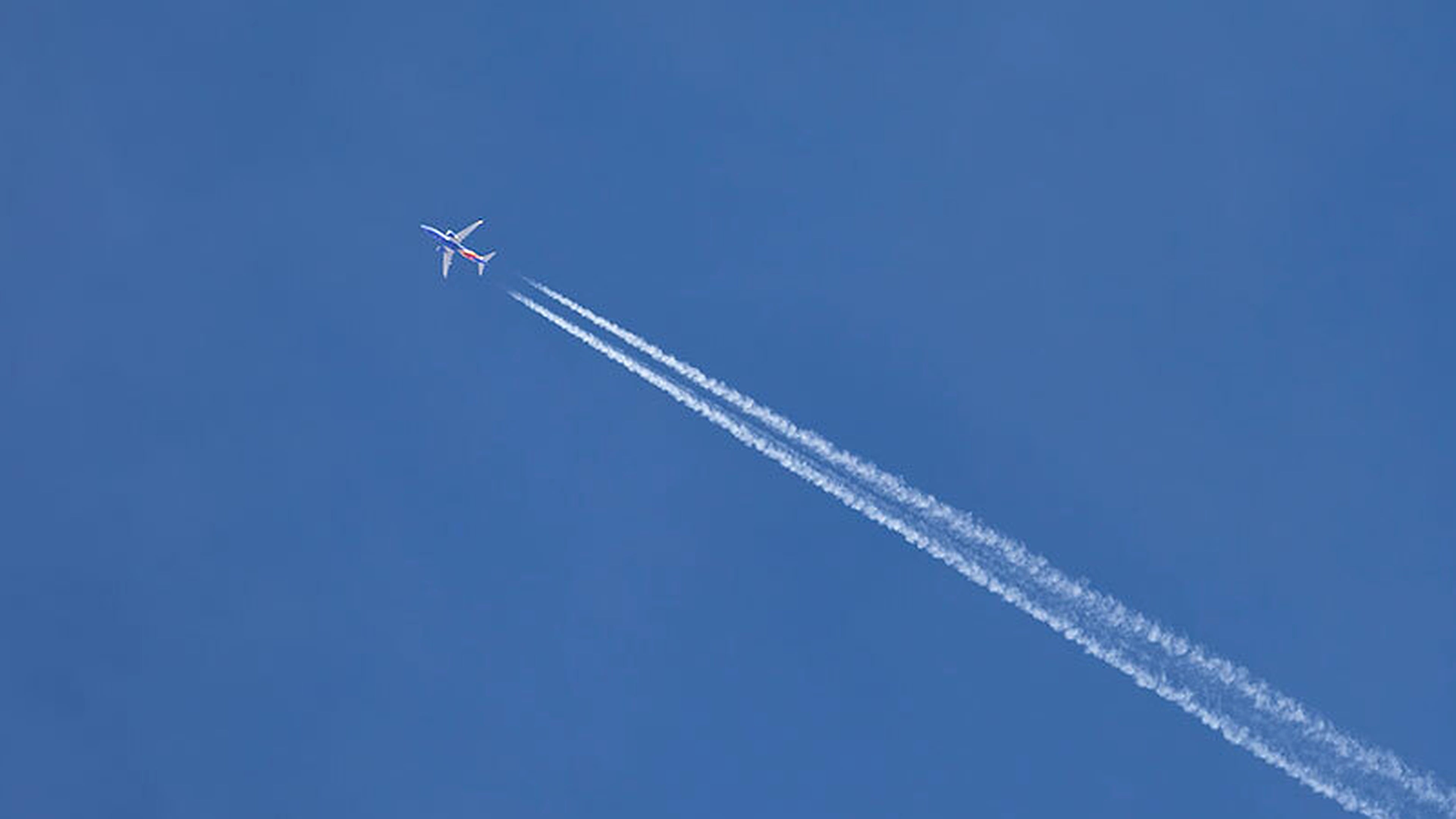 plane in the sky