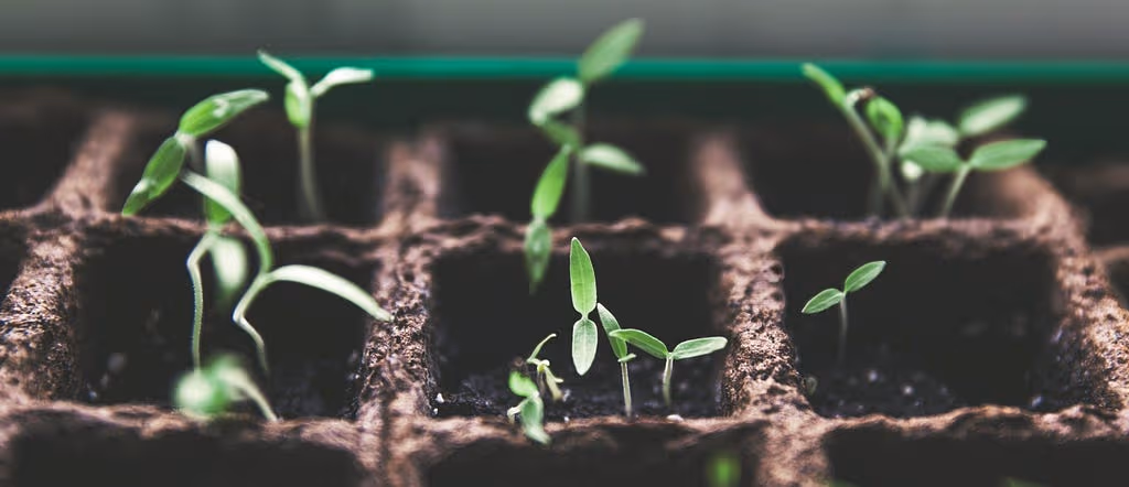 HappyFunCorp Core Values